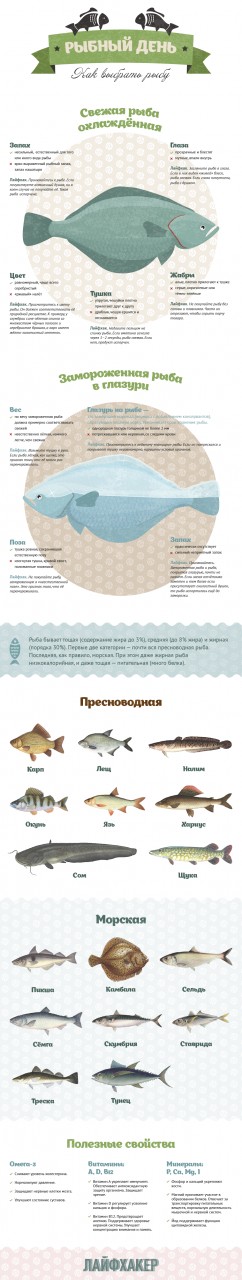 Как выбрать рыбу
