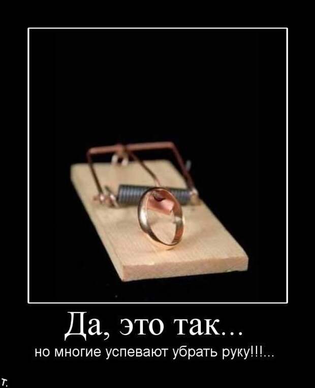 Подборка демотиваторов (84 фото)