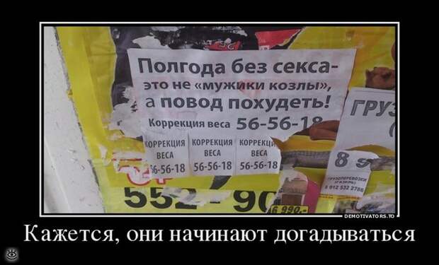 Воскресная порция философского юмора 15