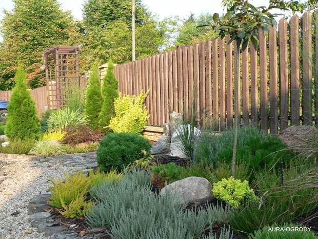 P1150671aa (700x525, 232Kb)