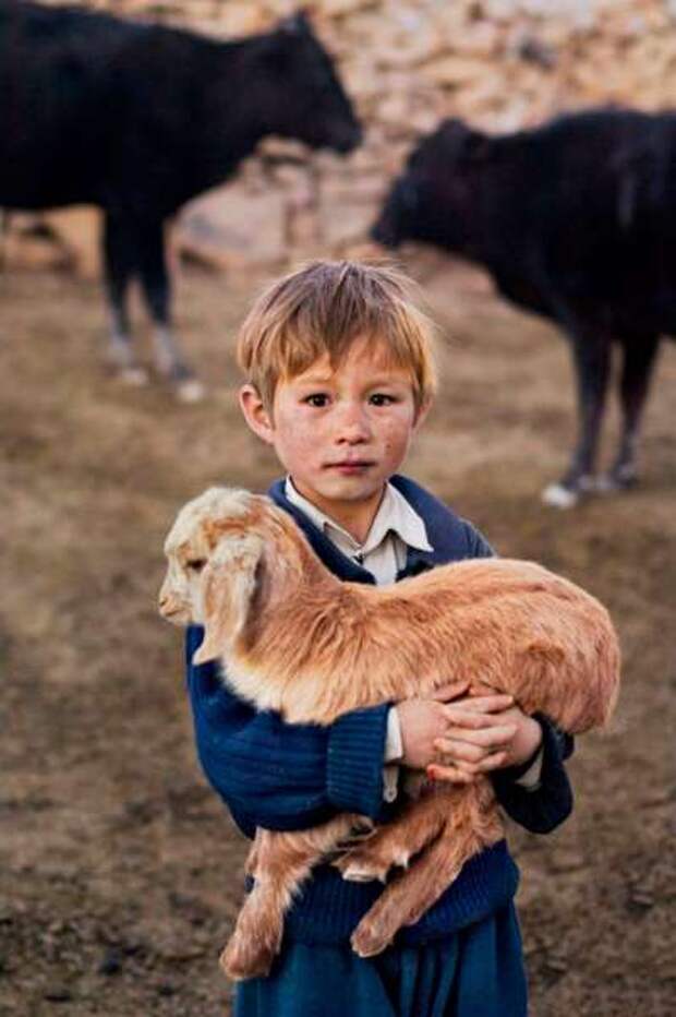Животные и люди в фотографиях Стива Маккарри