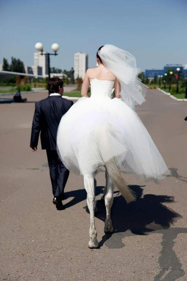Фотоиллюзии лошадь