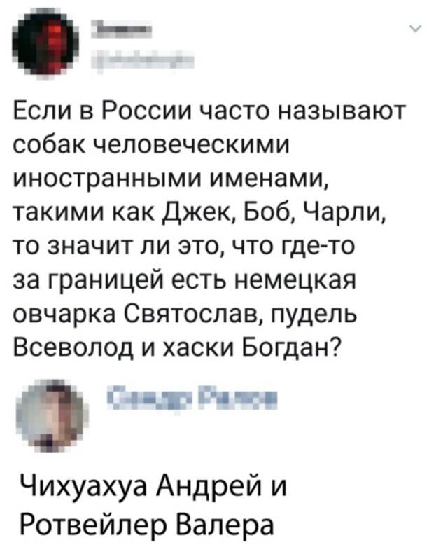 Подборка картинок. Дневной выпуск (20 фото)