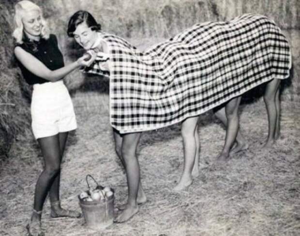 Что здесь происходит?! (31 фото)