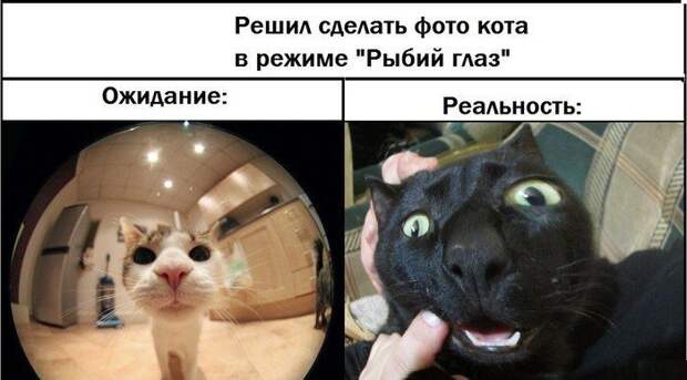 Ожидание и реальность ожидание, реальность, фото, юмор
