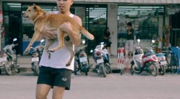 This Guy Is Cleaning Up the Streets Of Thailand, One Dirty Dog at a Time