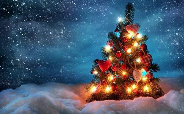 С Новым Годом! С Новым Годом!