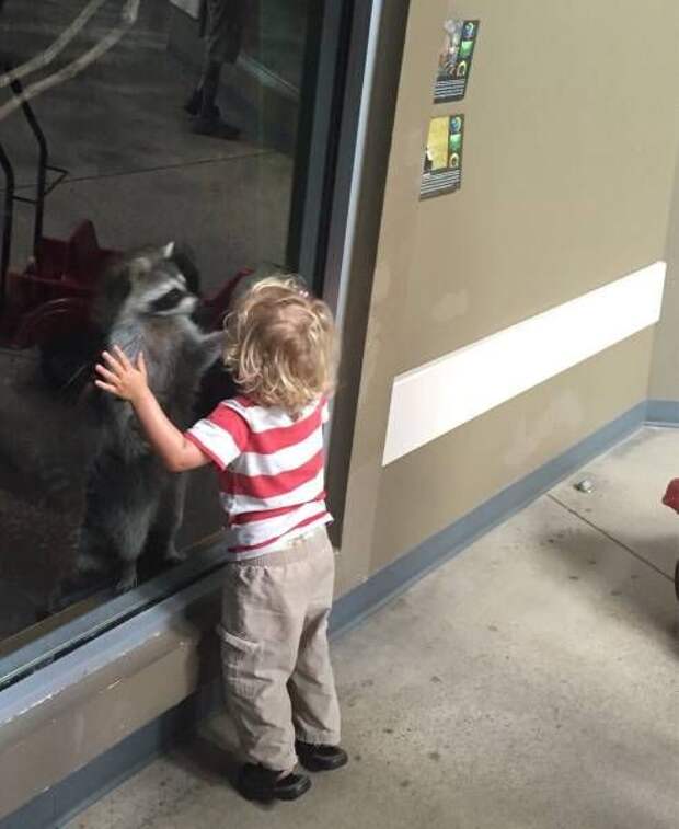 Прикольные картинки (90 фото) Прикольные картинки (90 фото)