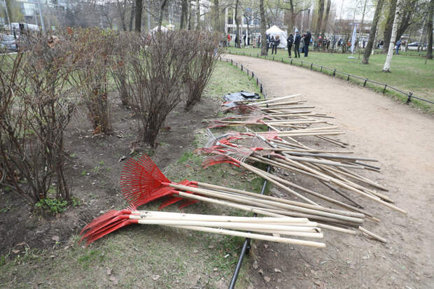 Жители Кронштадта очистили город от мусора