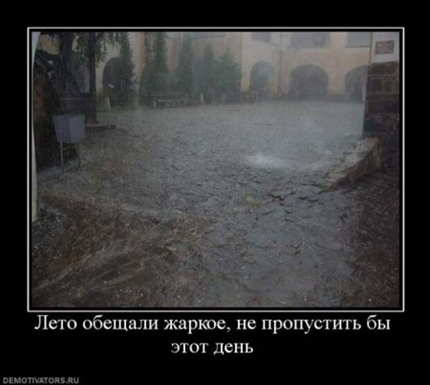 Демотиваторы смешные и новые с приколом и забавным смыслом.