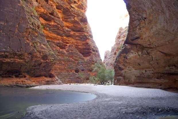 NewPix.ru - Хребет Бангл-Бангл (Bungle Bungle National Park)