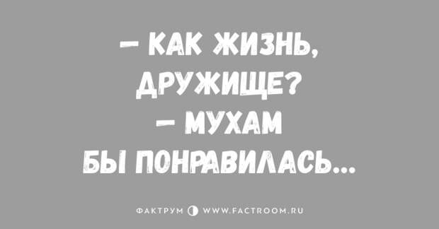 Десятка прикольных анекдотов, которую стоит прочитать немедленно
