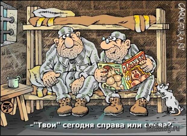 Прикольные карикатуры (52 картинки)