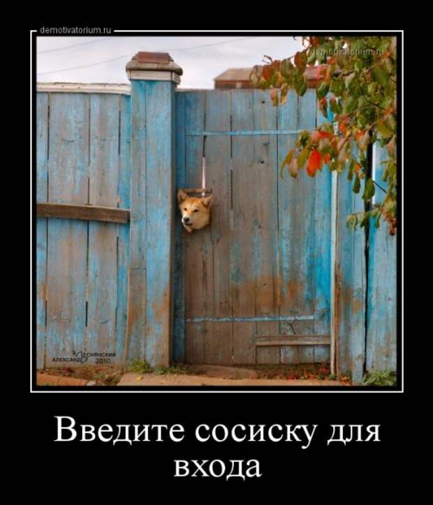 Демотиваторы отличной подборочкой для зарядки позитивом!!!