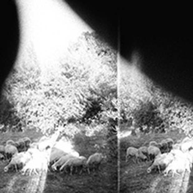 Godspeed You! Black Emperor, Asunder, Sweet And Other Distress