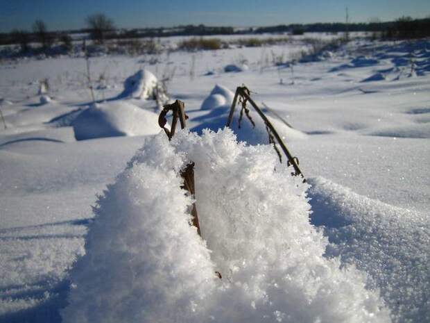 Фотозарисовка с Новгородской