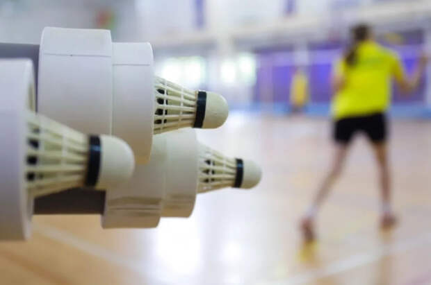 BWF одобрила использование синтетических воланов из‑за нехватки перьев