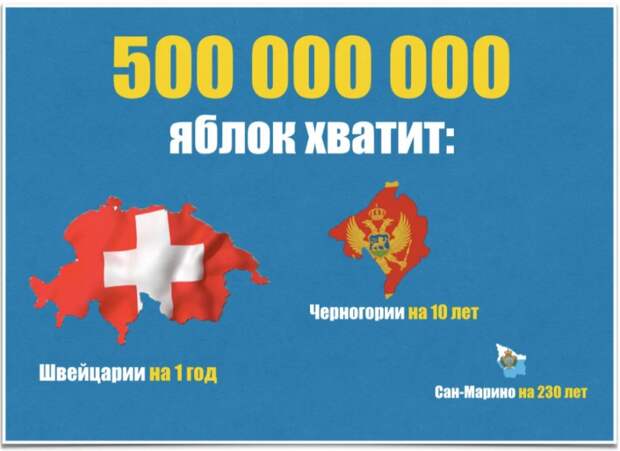 Сад-гигант на Кубани – это самый большой фруктовый сад в Европе