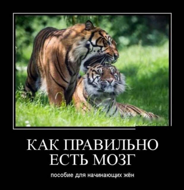 Демотиваторы. Подборка chert-poberi-chert-poberi-44430407032020-14 картинка chert-poberi-44430407032020-14
