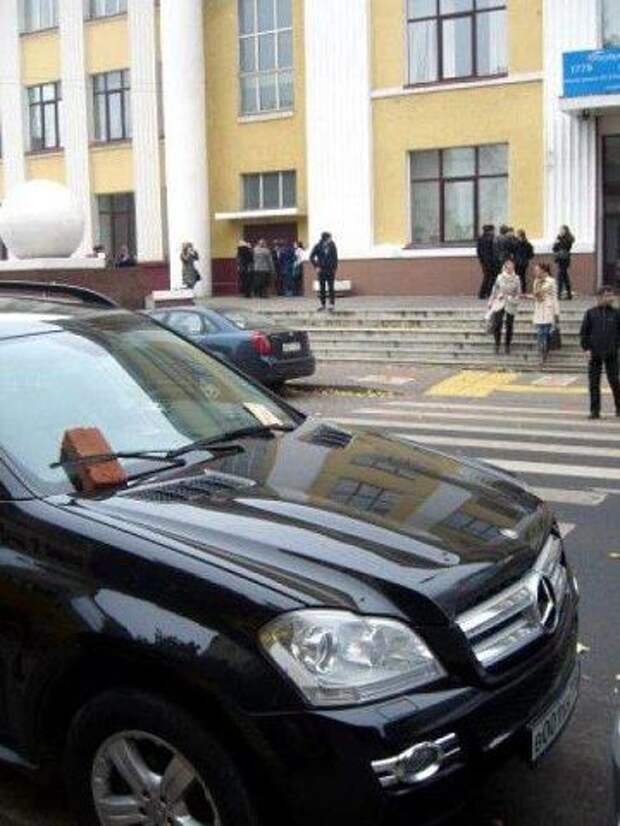 Подборка народных штрафов для гореводителей авто, дтп