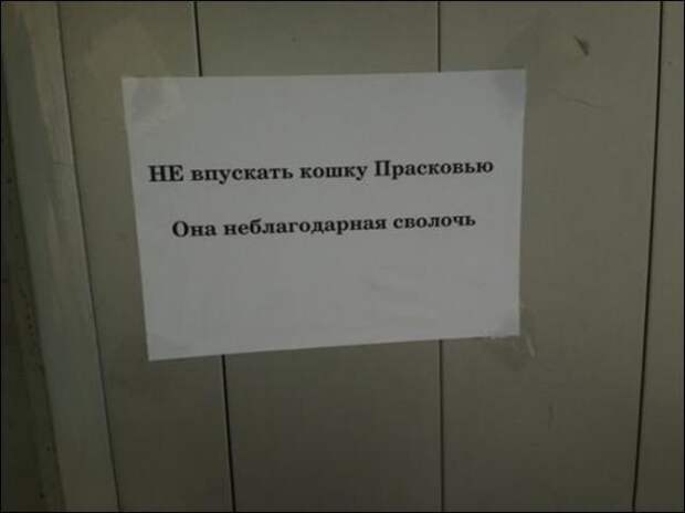 Смешные надписи и объявления