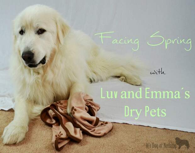 Luv and Emma's Dry Pets