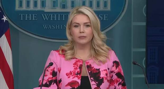 «Идёт по плану» - пресс-секретарь Трампа о войне с Ираном