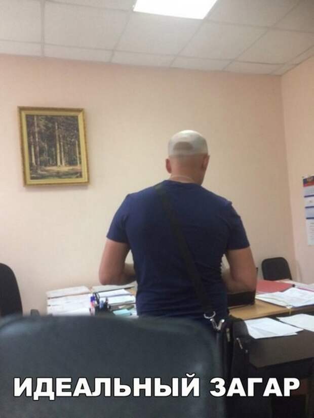 Картинки, юмор, приколы