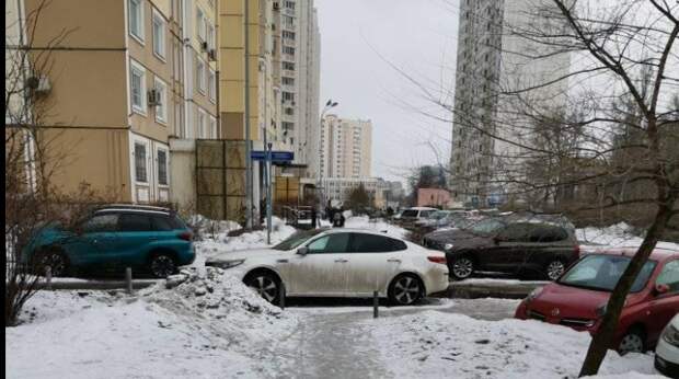 Водитель перекрыл пешеходный переход на Ботанической