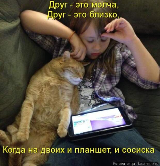 Новая котоматрица (29 фото)