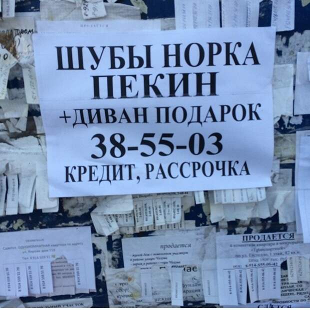 Аксессуар к шубе Аксессуар к шубе объявления, россия, юмор