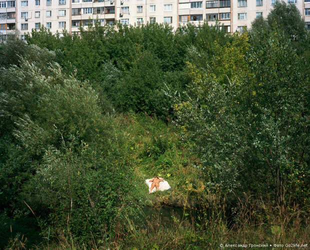 Отдых москвичей на природе