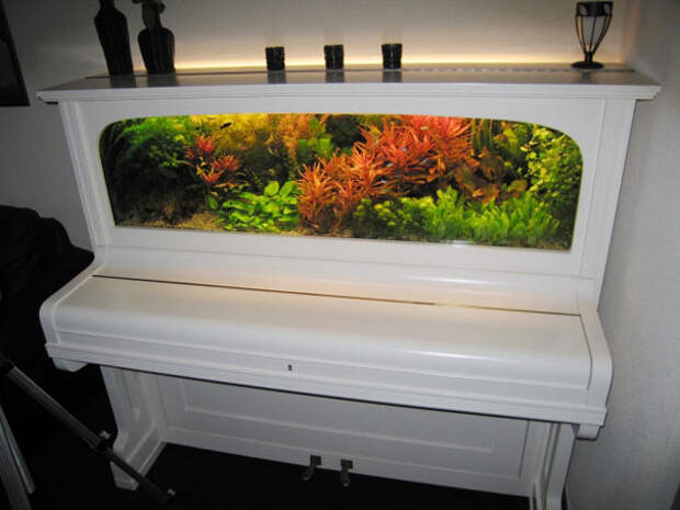 Пианино, преврашенное в аквариум. Наверное, это стоило колосаальных усилий