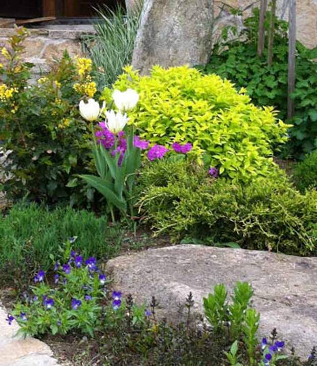 Весенние цветы Уютный сад