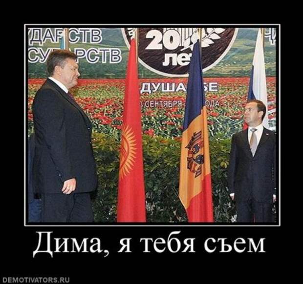 Юмор, демотиваторы, прикольные подписи, смешные фото.