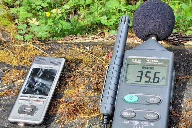 На Алтае запатентовали "природный" способ улучшения сна детей