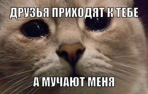Ночные фото-приколы (17 шт)
