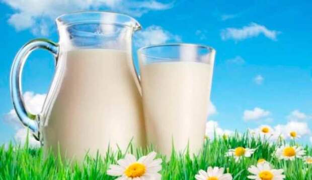 в какое время правильно есть продукты 