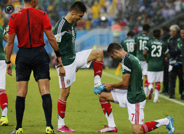 Чемпионат мира по футболу 2014