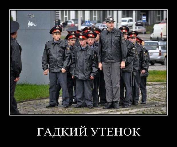 Демотиваторы (50 фото)