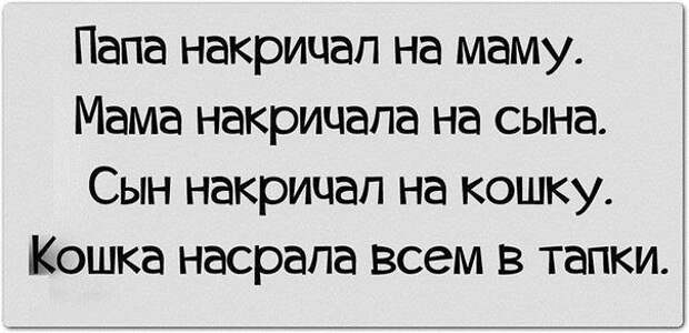 Пост позитива и юмора в пятницу! прикол, юмор