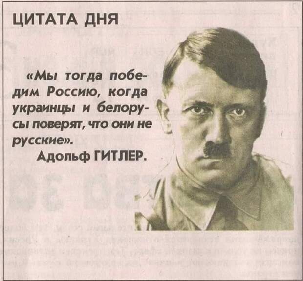 Без названия