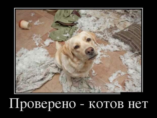 Летние демотиваторы - прикольные картинки Летние демотиваторы - прикольные картинки