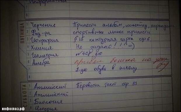 Записи из школьных дневников