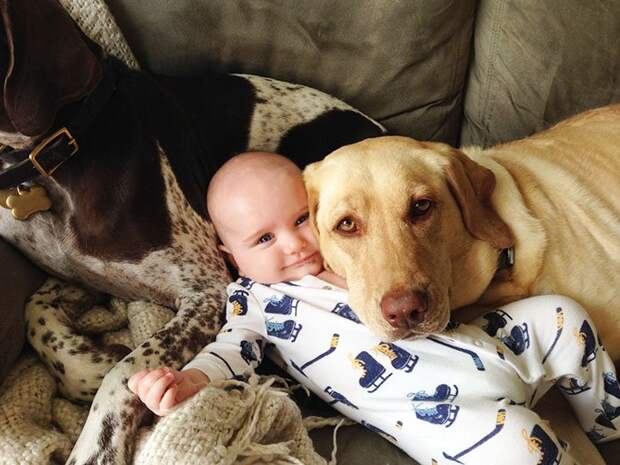 ребенок и собака
