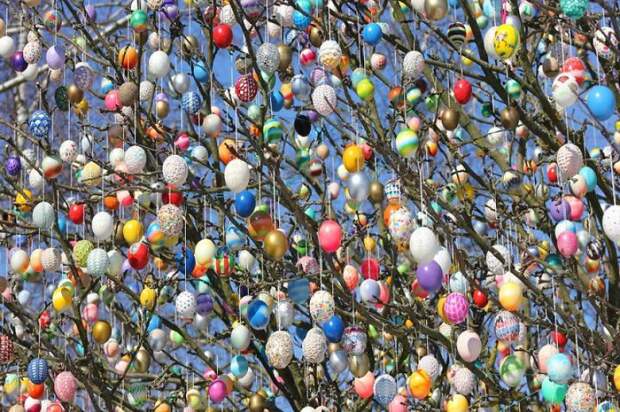 пасхальные яйца на дереве 