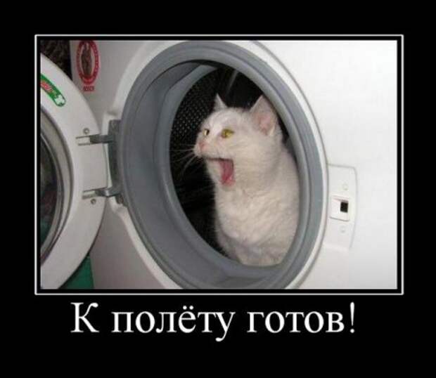 Веселые картинки демотиваторы.