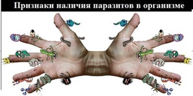 C6442b0aec8fb769b3c789391ecdbb98