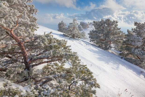 Зимний Крым