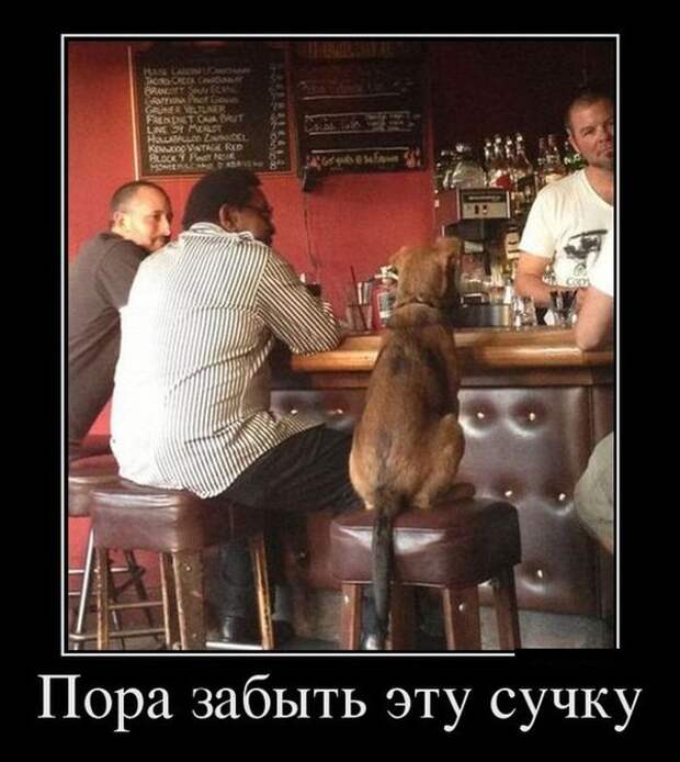 Демотиваторы